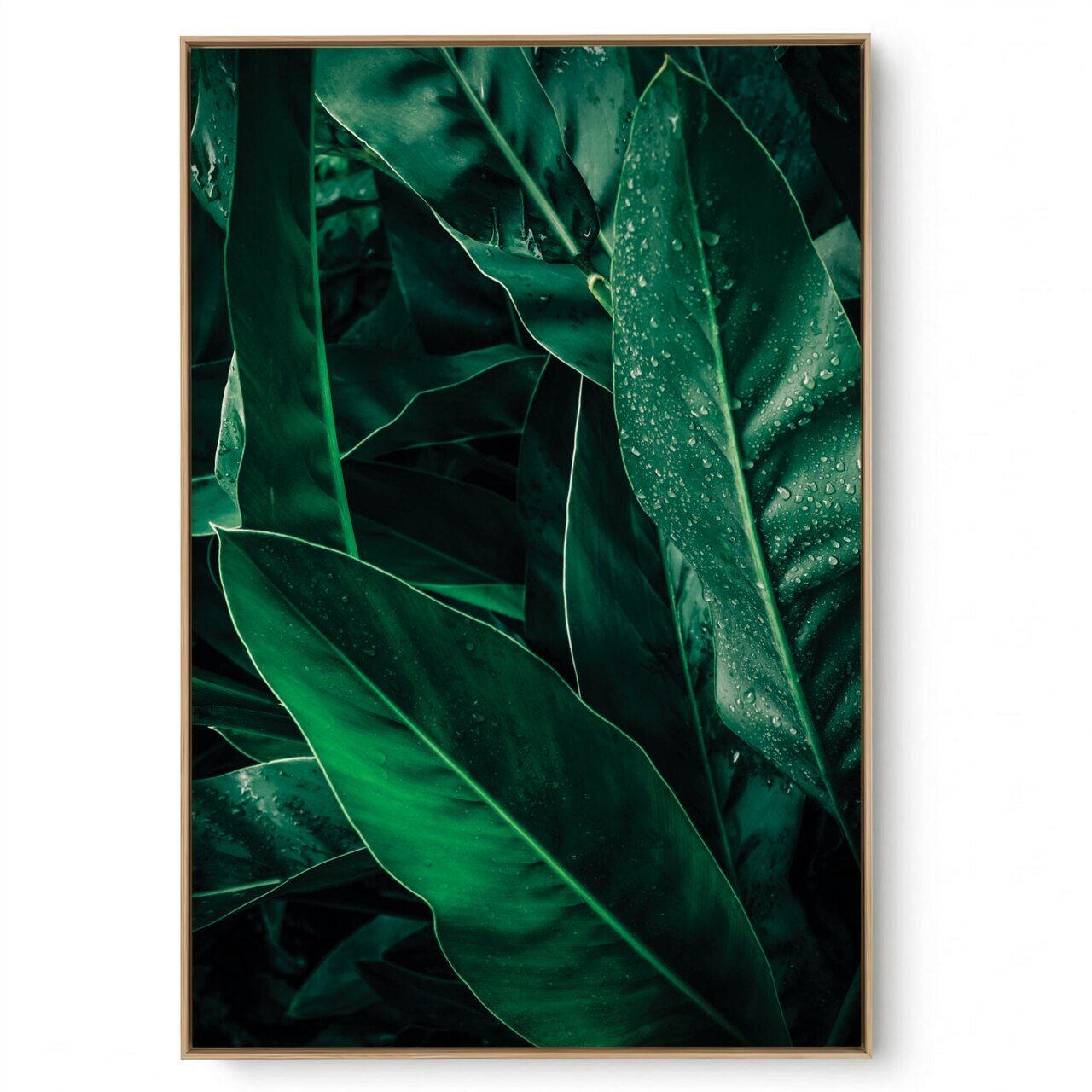Quadro Decorativo  Folhagem