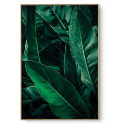 Quadro Decorativo Folhagem