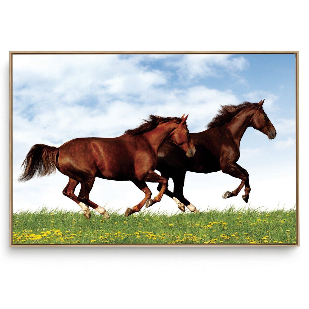 Quadro Decorativo Animais Cavalo X