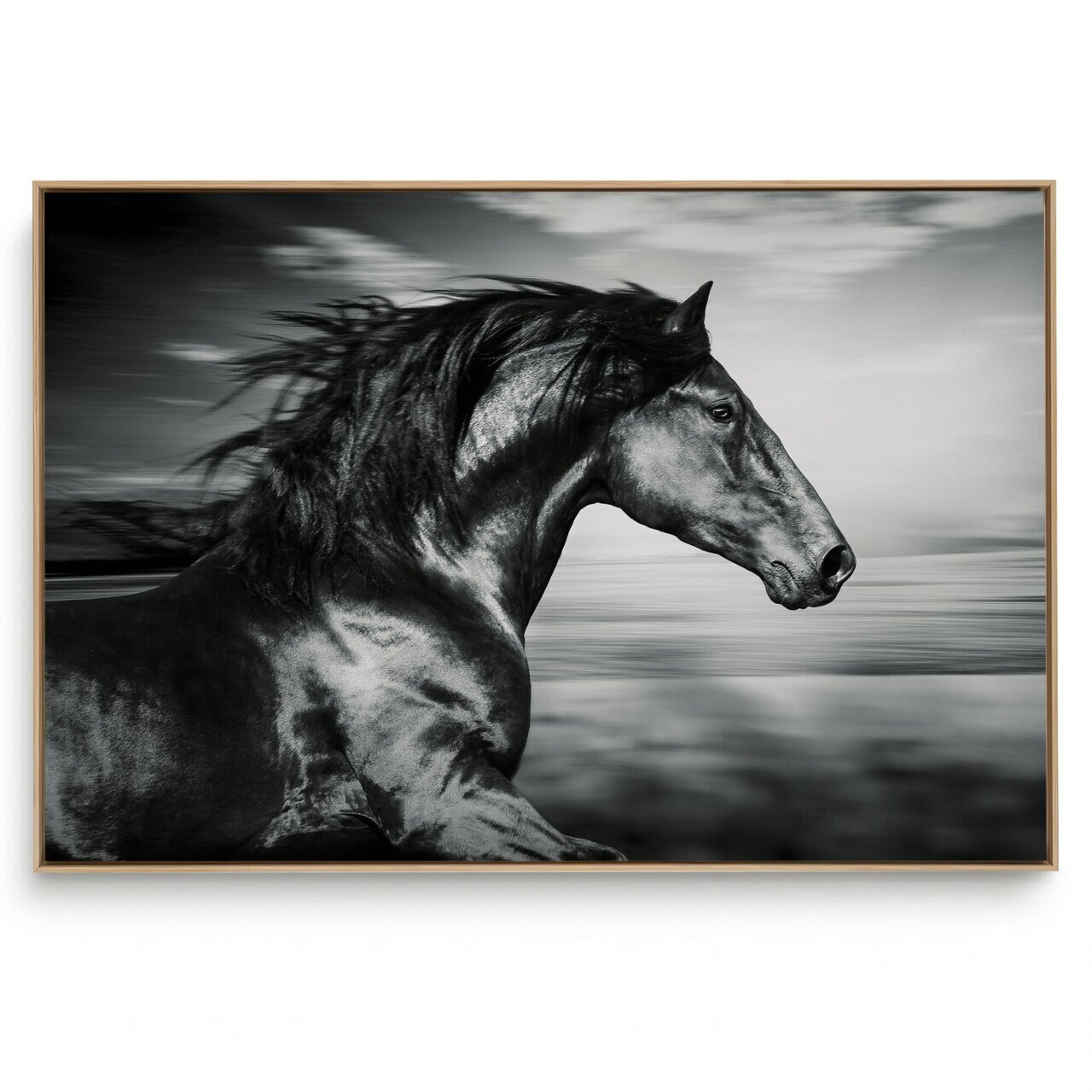 Quadro Decorativo Cavalo XV