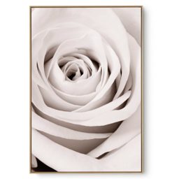 Quadro Decorativo Rosa Bege
