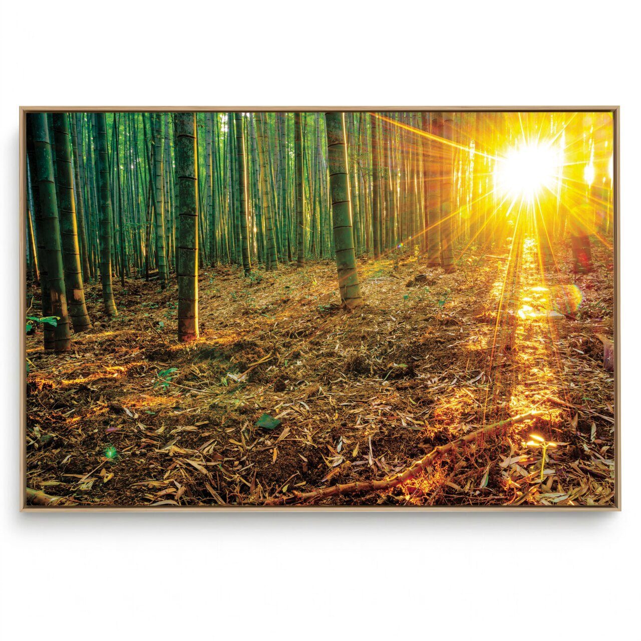 Quadro Decorativo Floral  Bambu