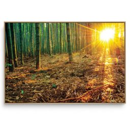 Quadro Decorativo Floral Bambu