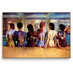 Quadro Decorativo Música Pink Floyd II