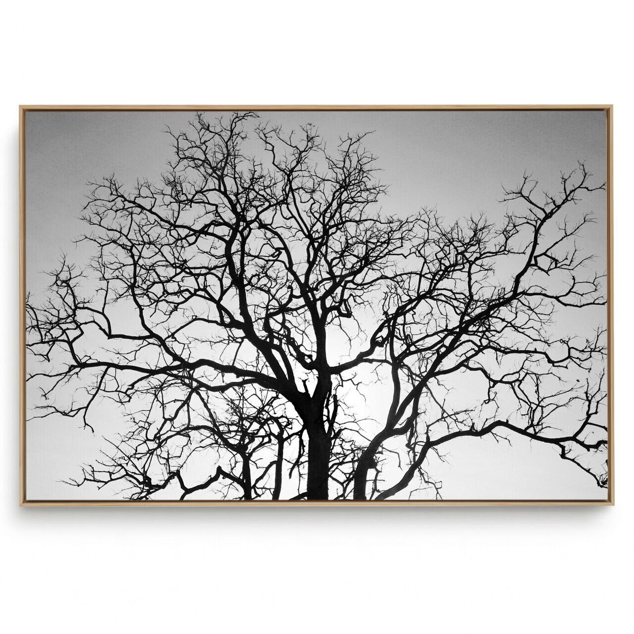 Quadro Decorativo Galhos P e B I