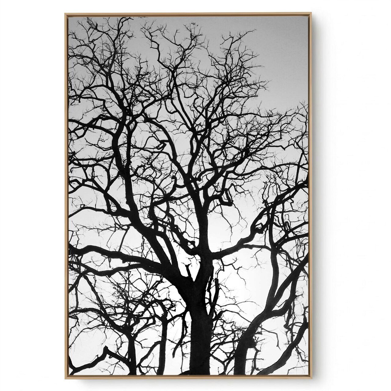 Quadro Decorativo Galhos P e B II