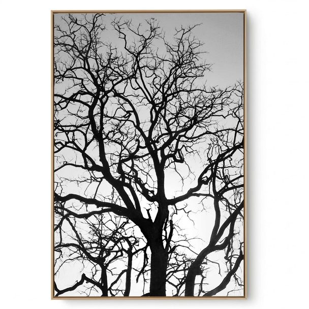 Quadro Decorativo Galhos P e B II
