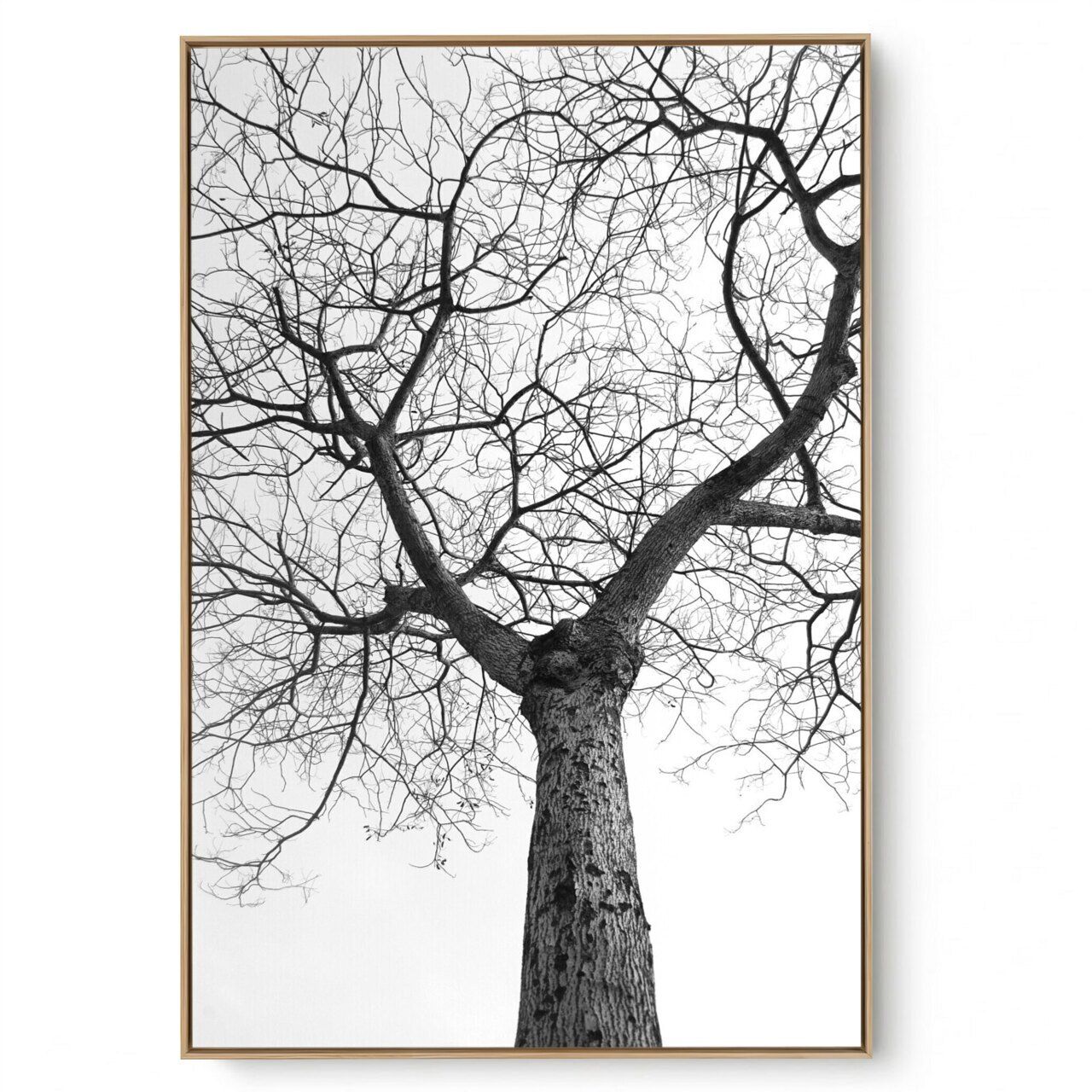 Quadro Decorativo Galhos P e B IV