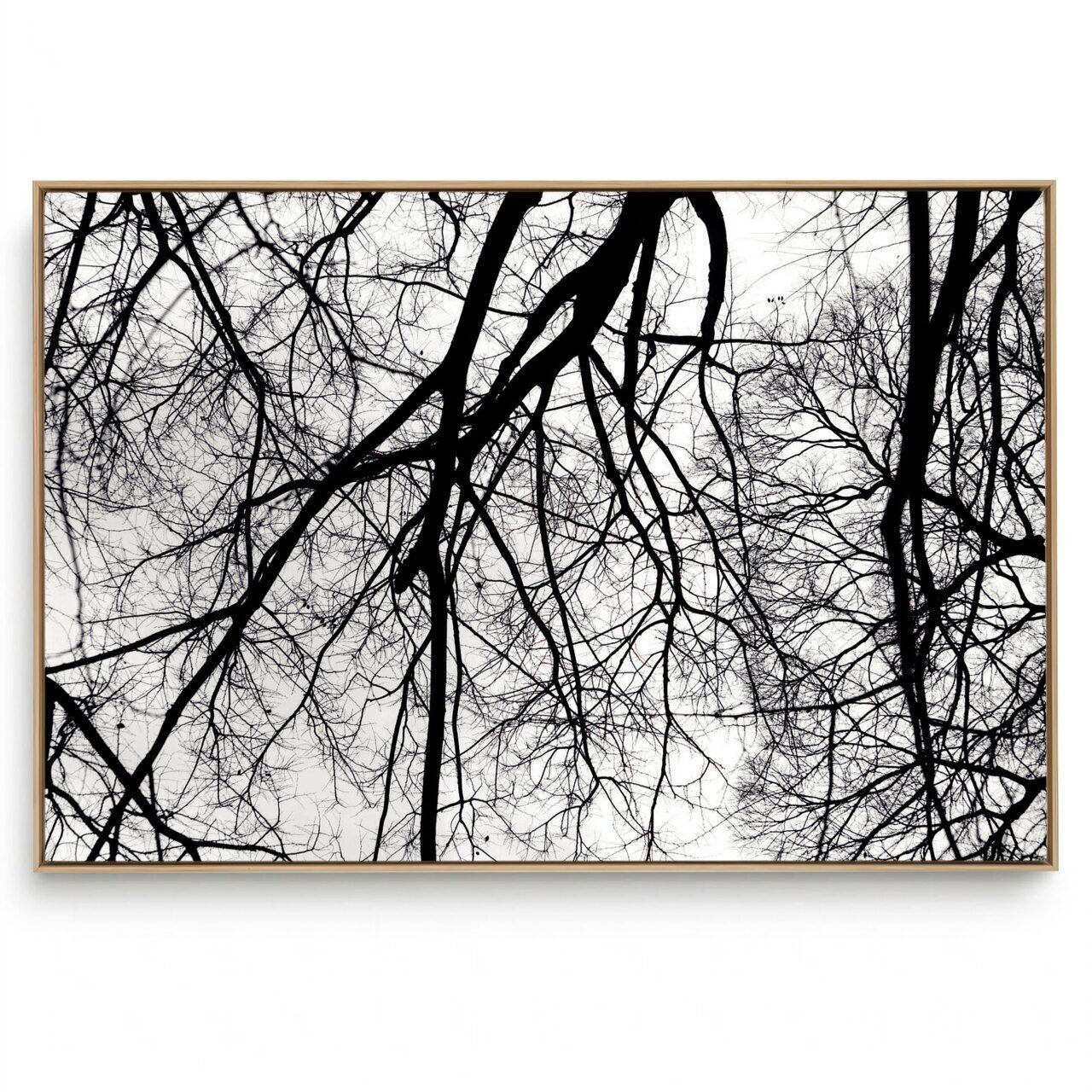 Quadro Decorativo  Galhos Preto e Branco