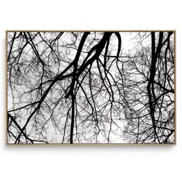 Quadro Decorativo Galhos Preto e Branco