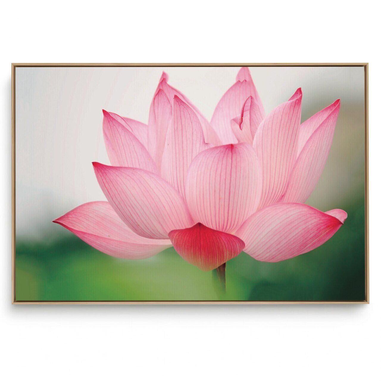Quadro Decorativo Oriental  Lótus Rosa