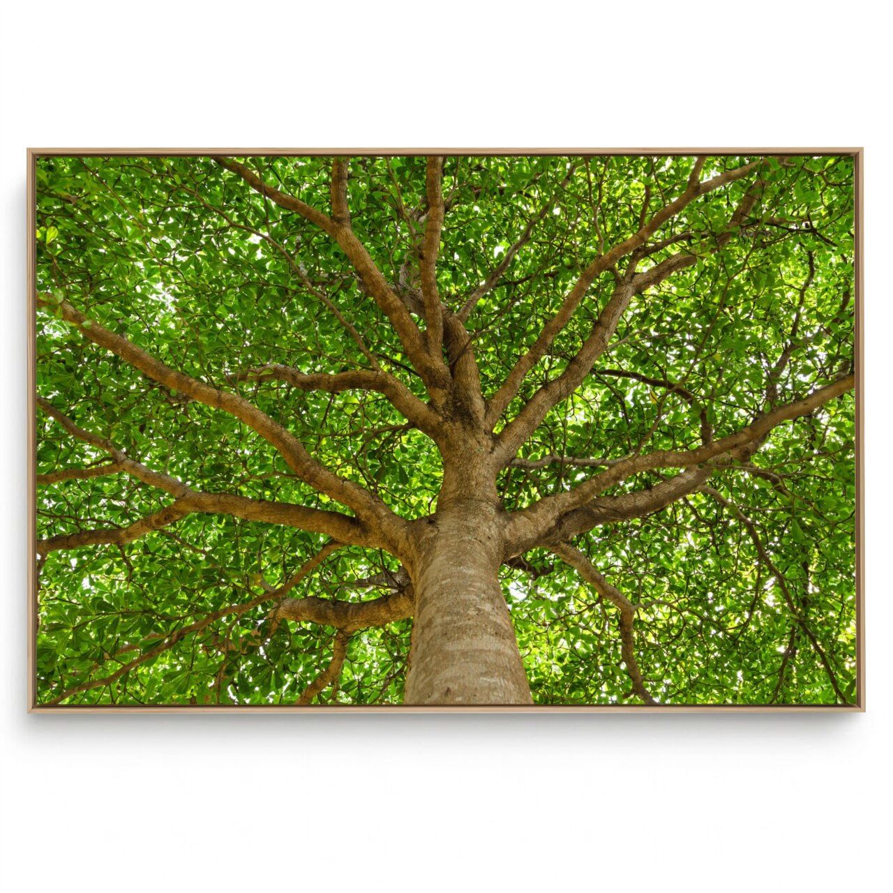 Quadro Decorativo Paisagem Tronco e Folhas 