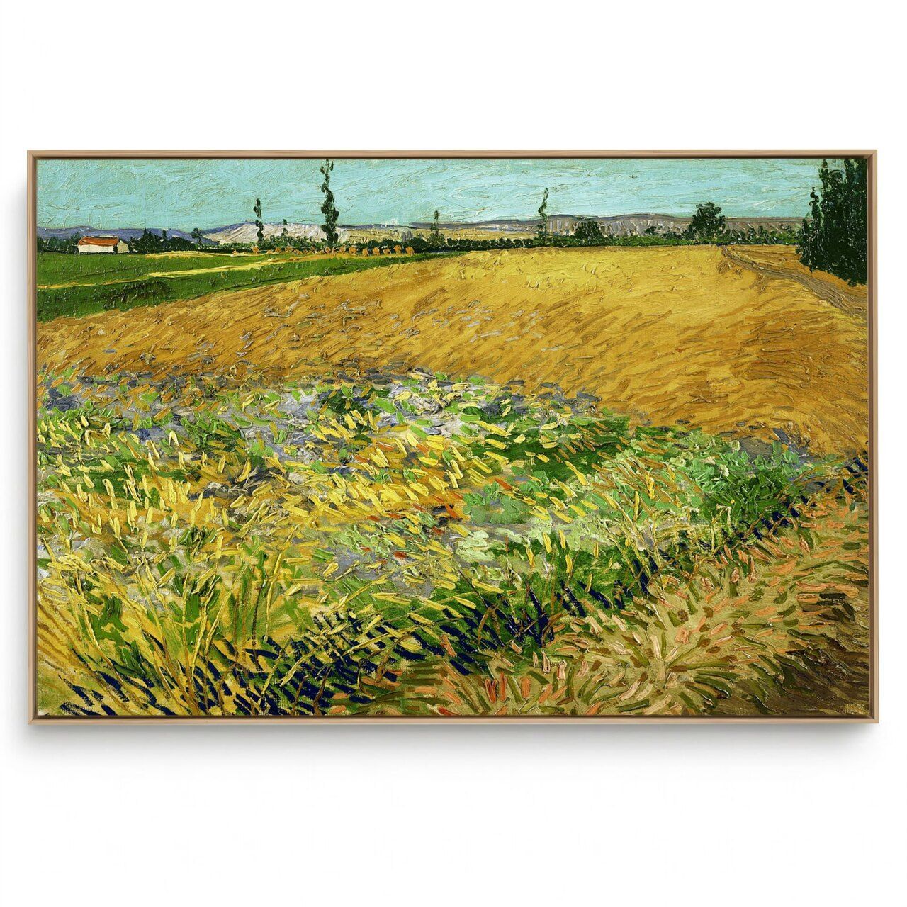 Quadro Decorativo Reprodução Pintores - Van Gogh - Campo de Trigo