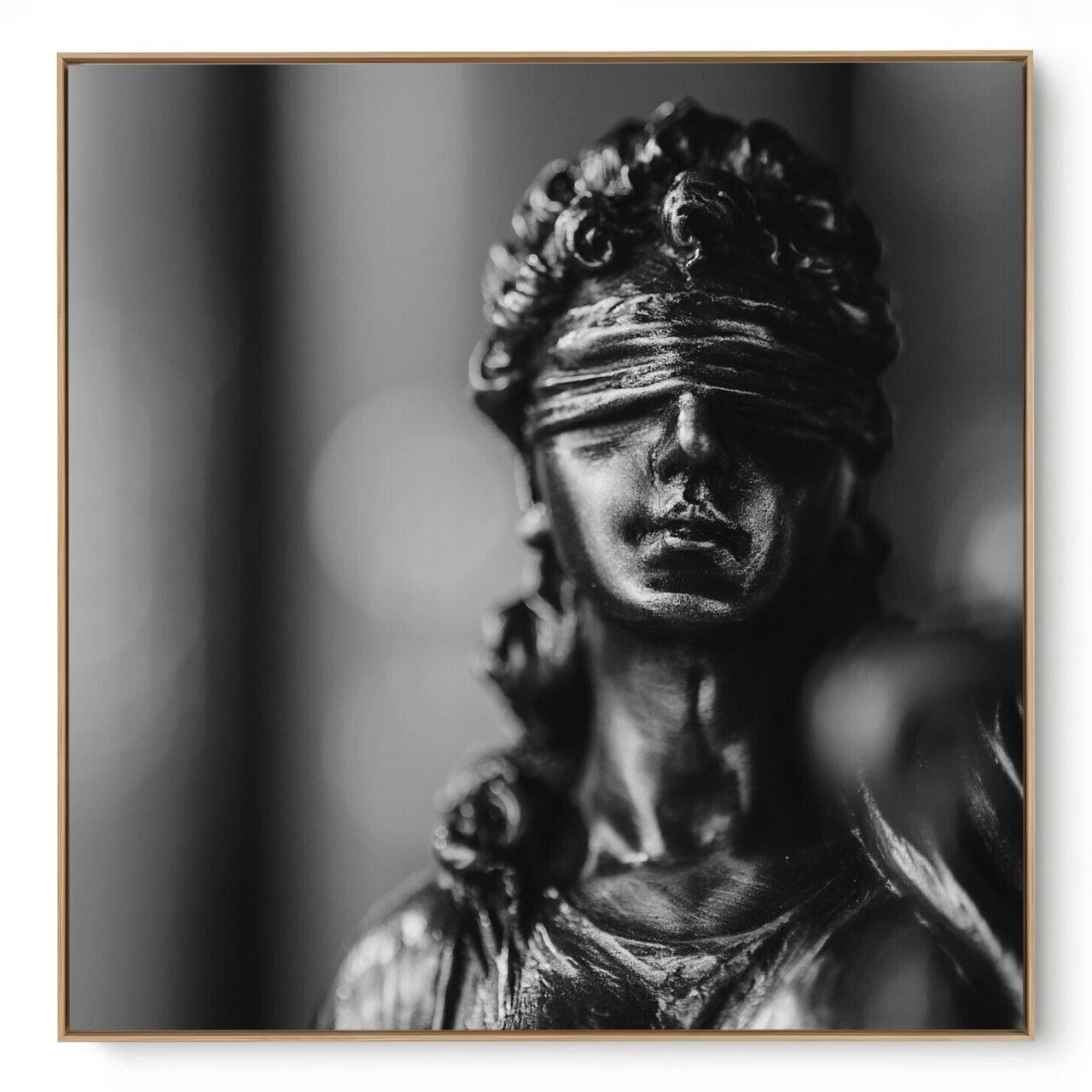 Quadro Decorativo Advocacia IX