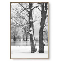 Quadro Decorativo Árvore na Neve I