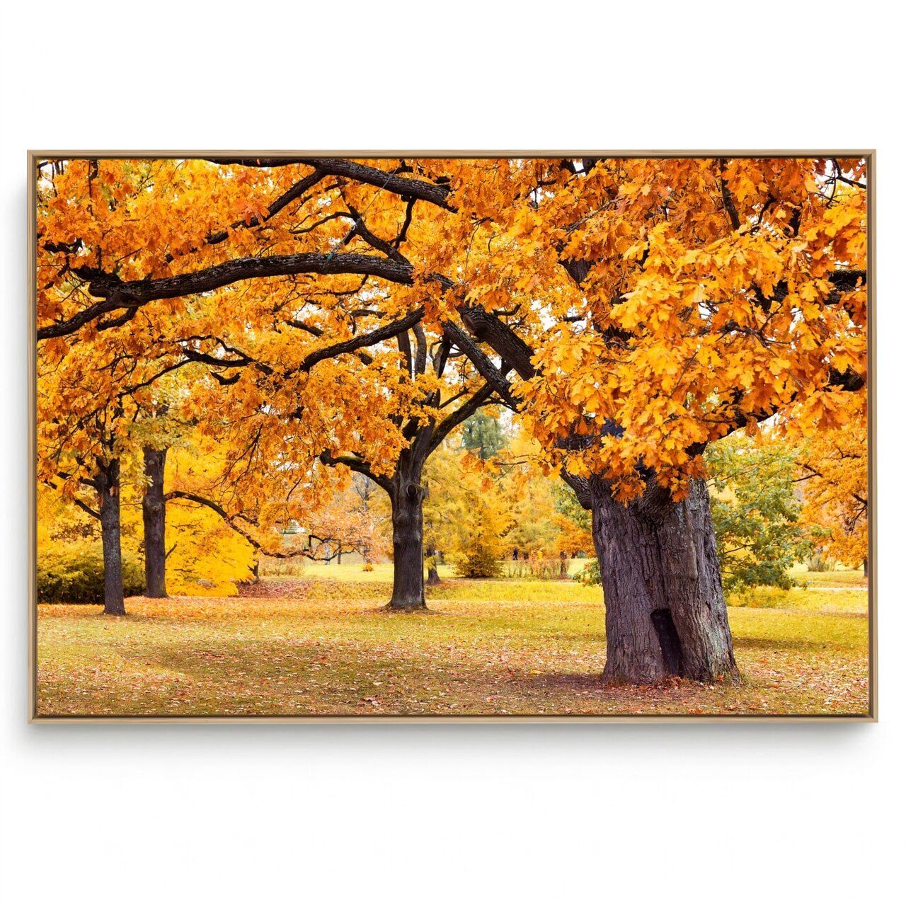 Quadro Decorativo Árvore H 4