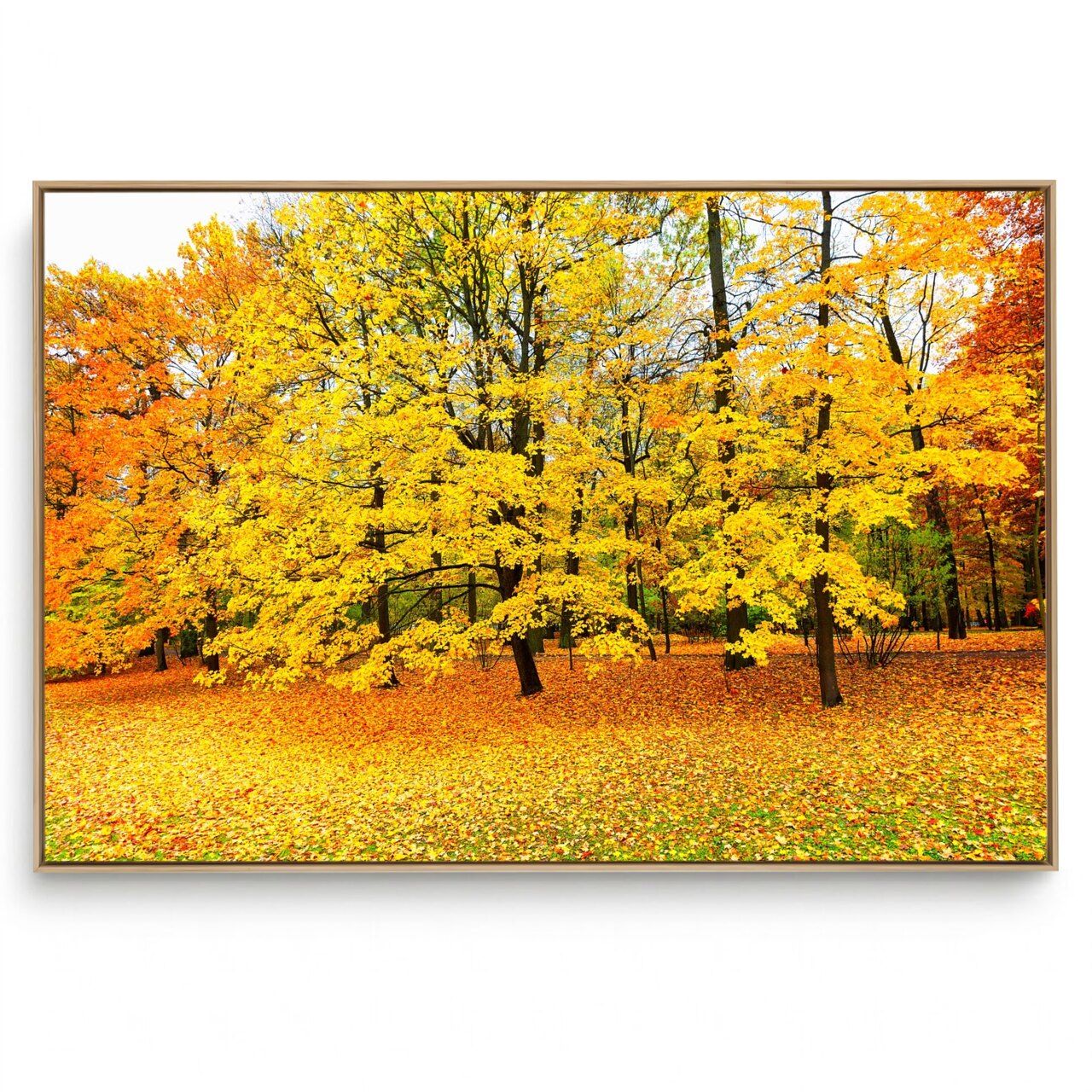Quadro Decorativo Árvore H 5