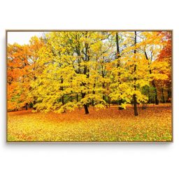 Quadro Decorativo Árvore H 5