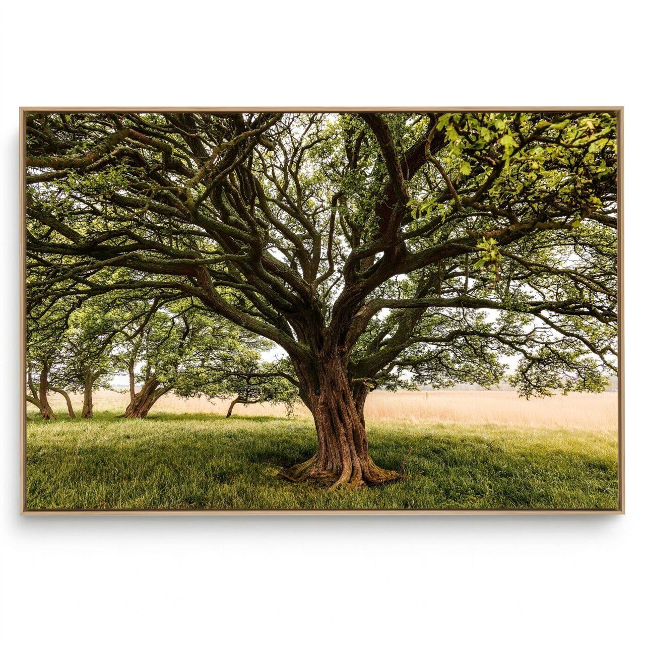 Quadro Decorativo Árvore H 6