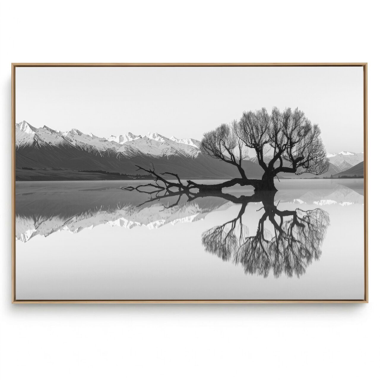 Quadro Decorativo Árvore Espelhada P e B