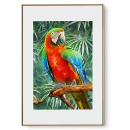Quadro Decorativo Ave Brasileira III