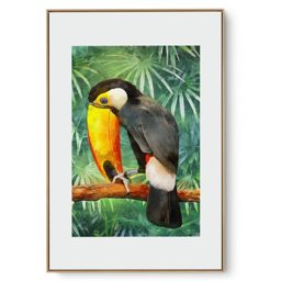 Quadro Decorativo Ave Brasileira IV