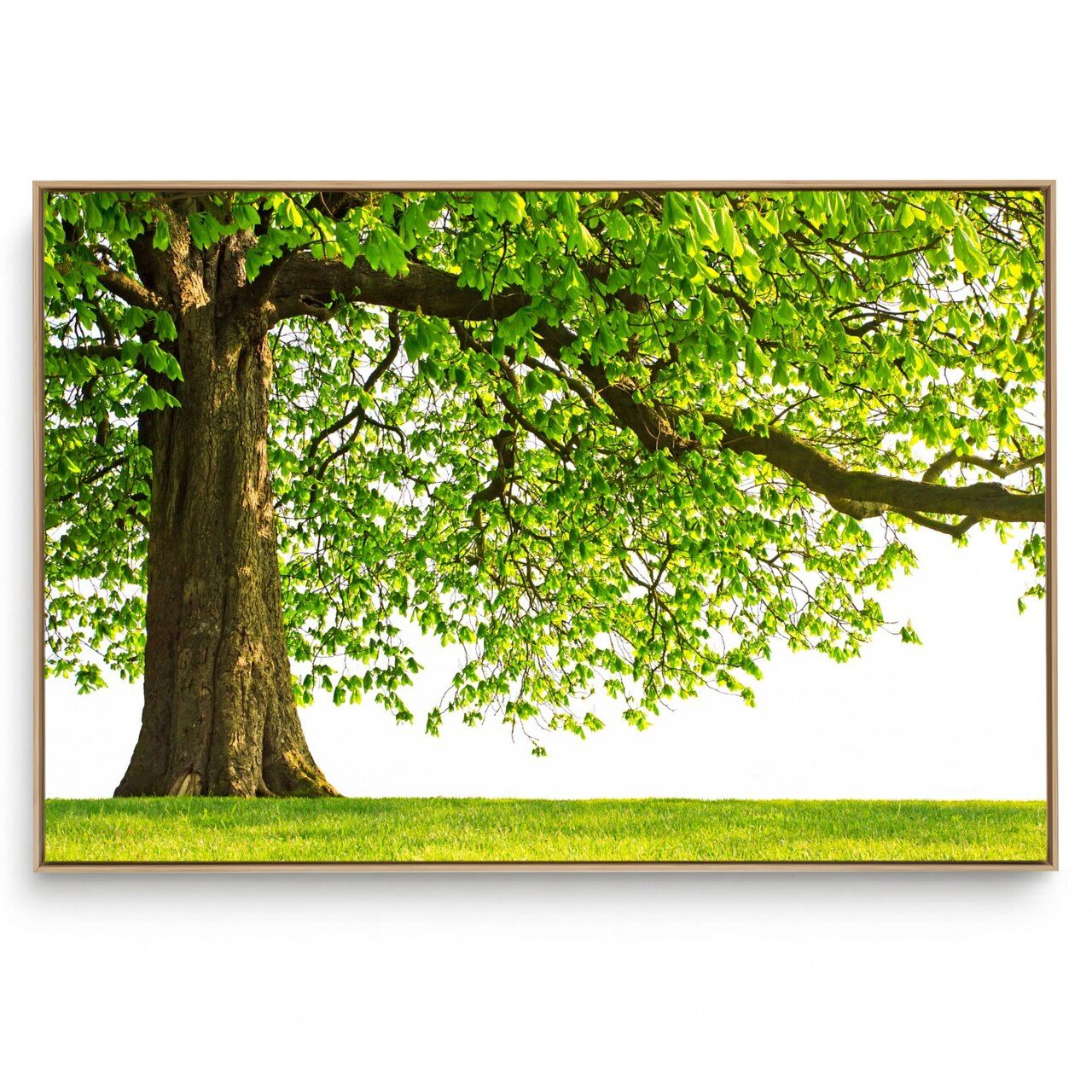 Quadro Decorativo Árvore H 1