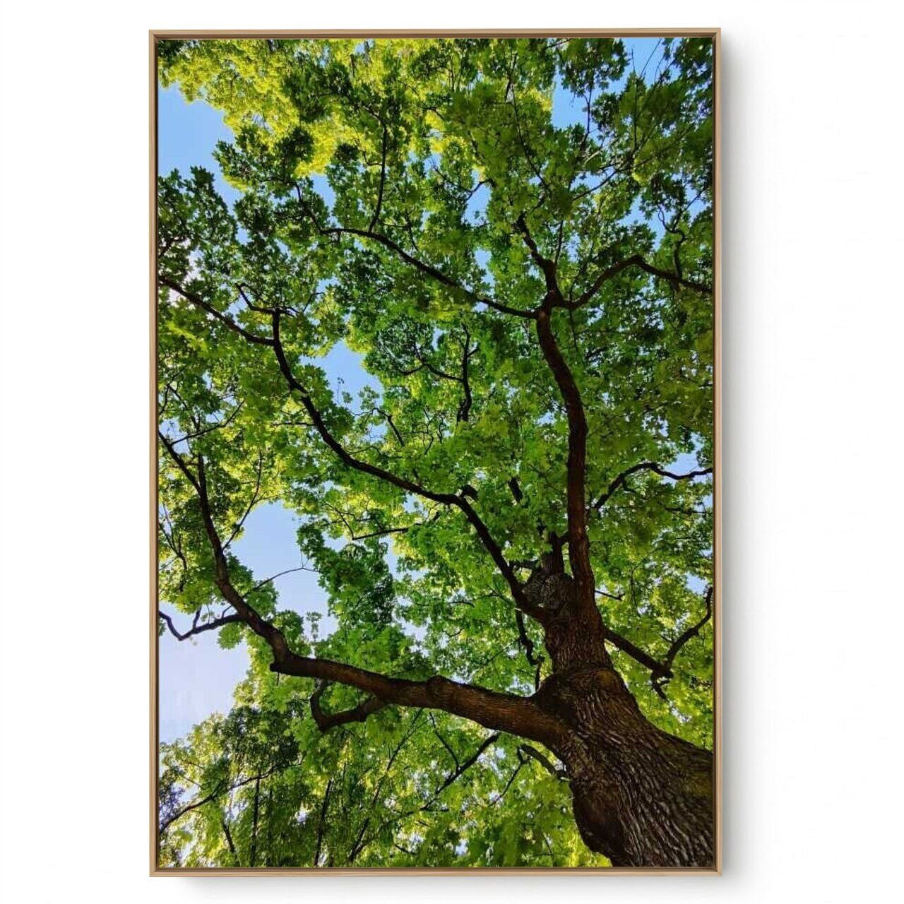 Quadro Decorativo Árvore V6