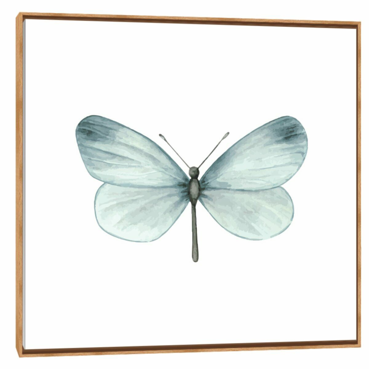 Quadro Decorativo Borboleta Suave II