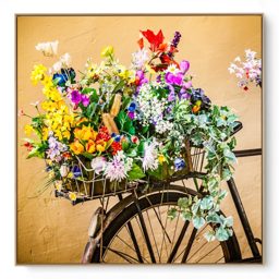 Quadro Decorativo Bike Flores II