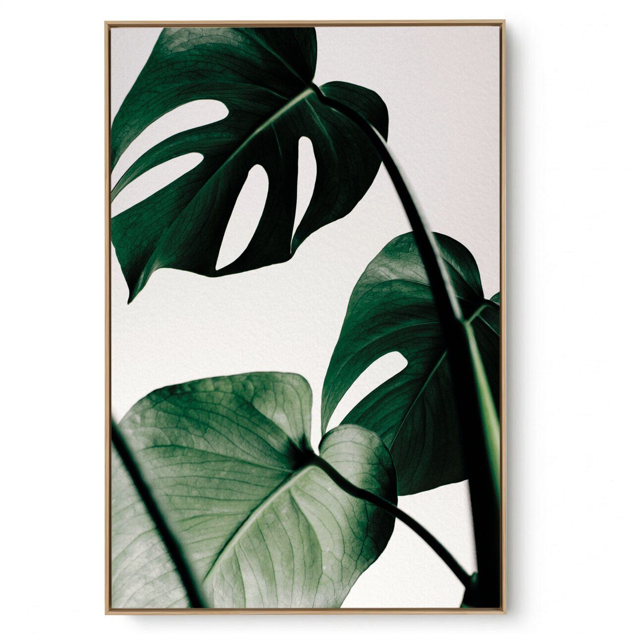 Quadro Decorativo Caule II