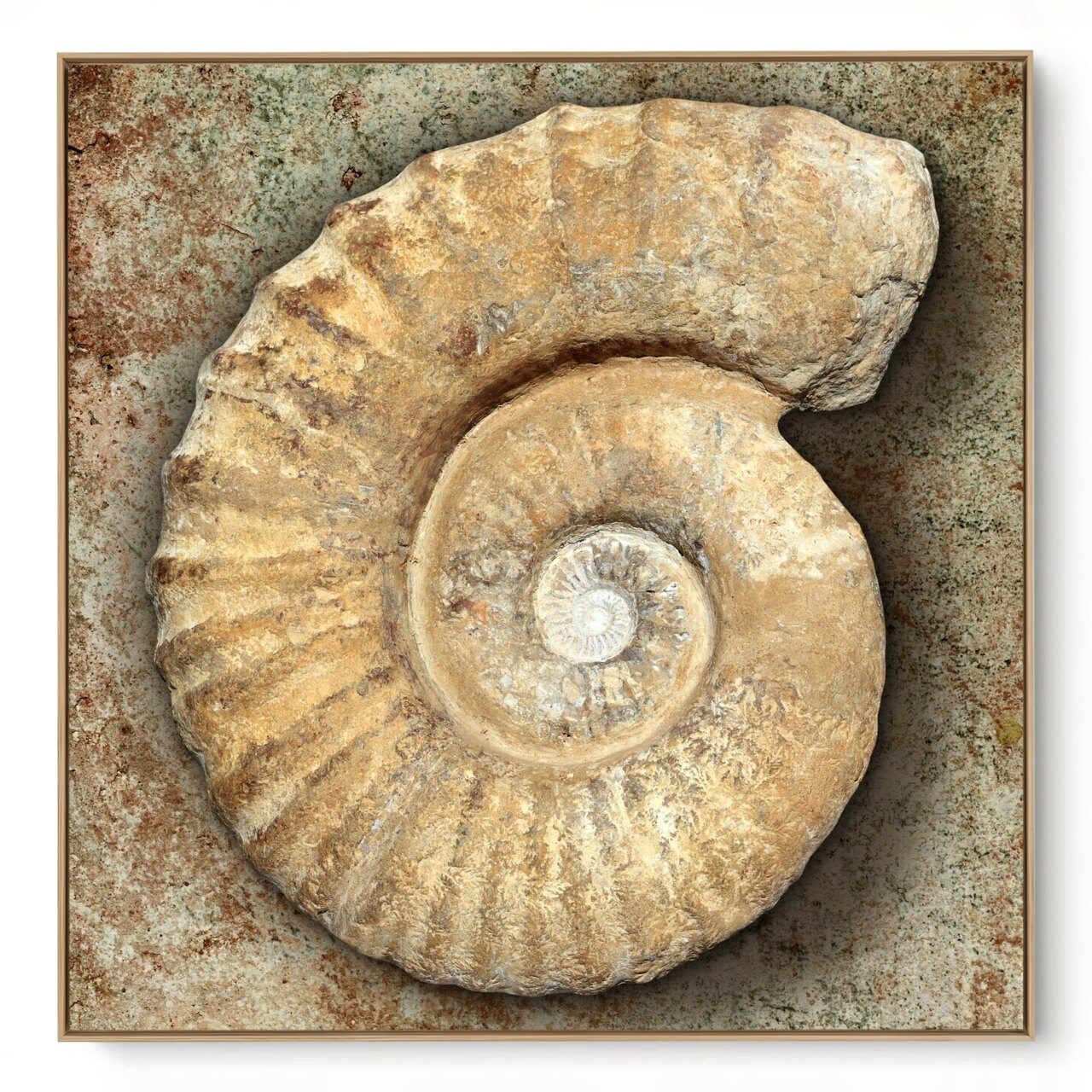 Quadro Decorativo Concha I