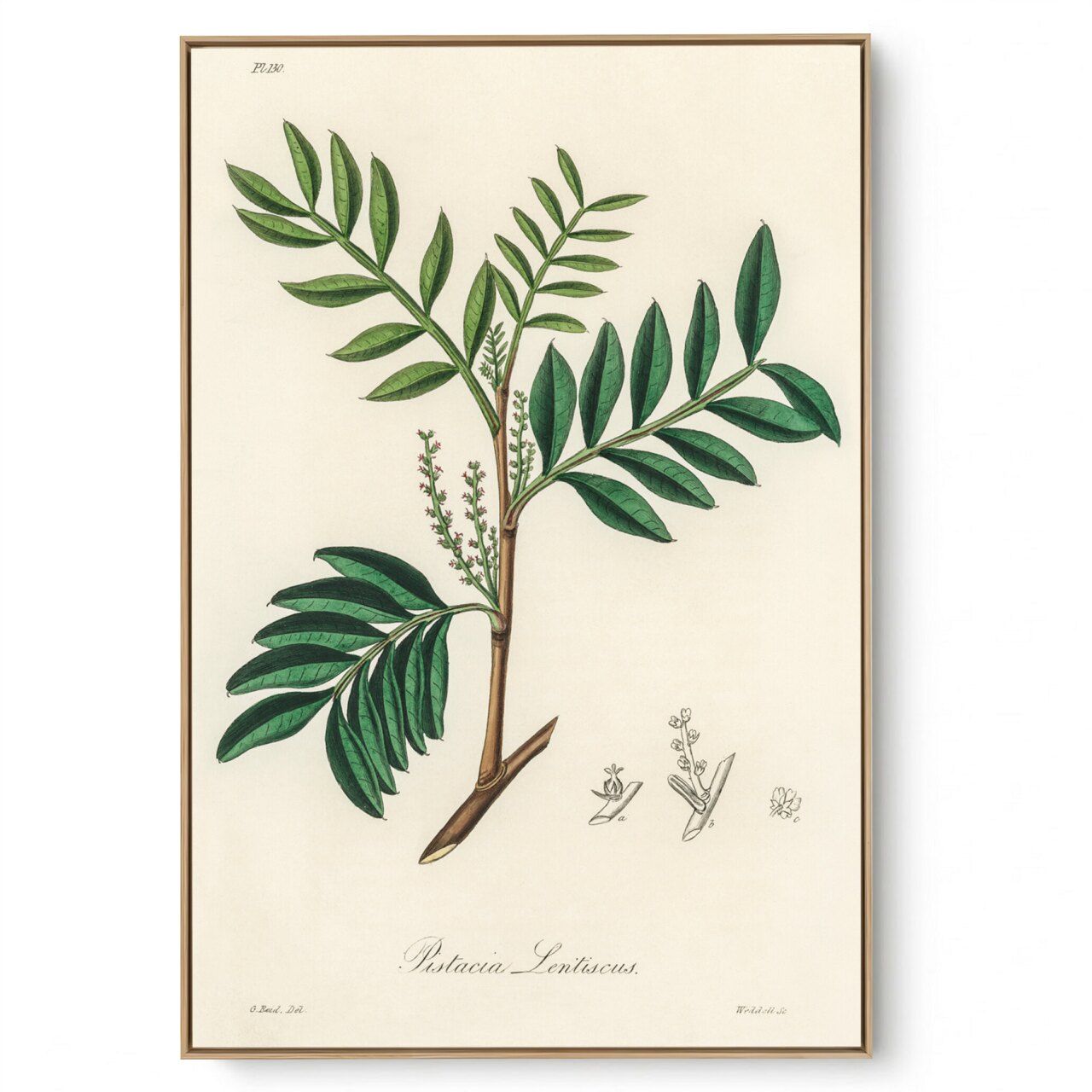 Quadro Decorativo Cozinha Aroma III