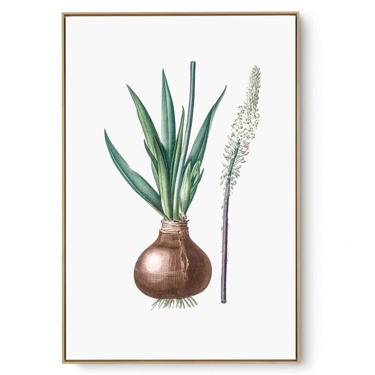 Quadro Decorativo Cozinha Cebolinha III