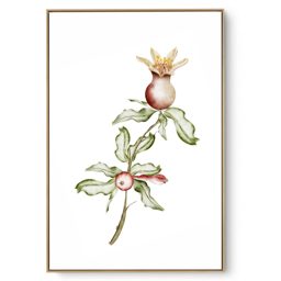 Quadro Decorativo Cozinha Flor de Romã I