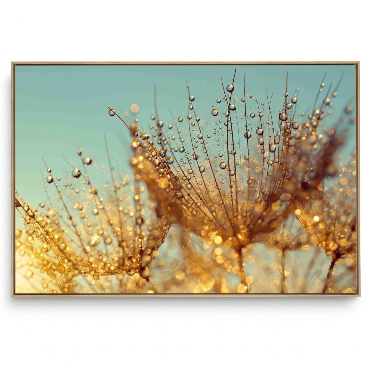 Quadro Decorativo Dente de Leão XIII