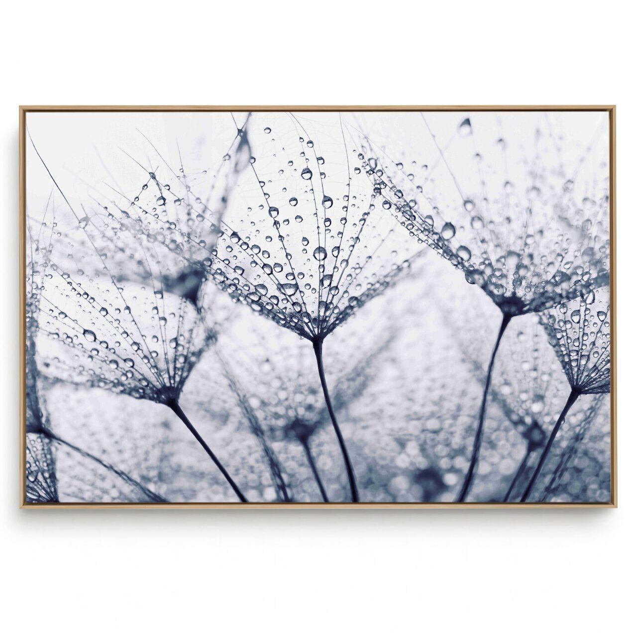 Quadro Decorativo Dente de Leão XIV