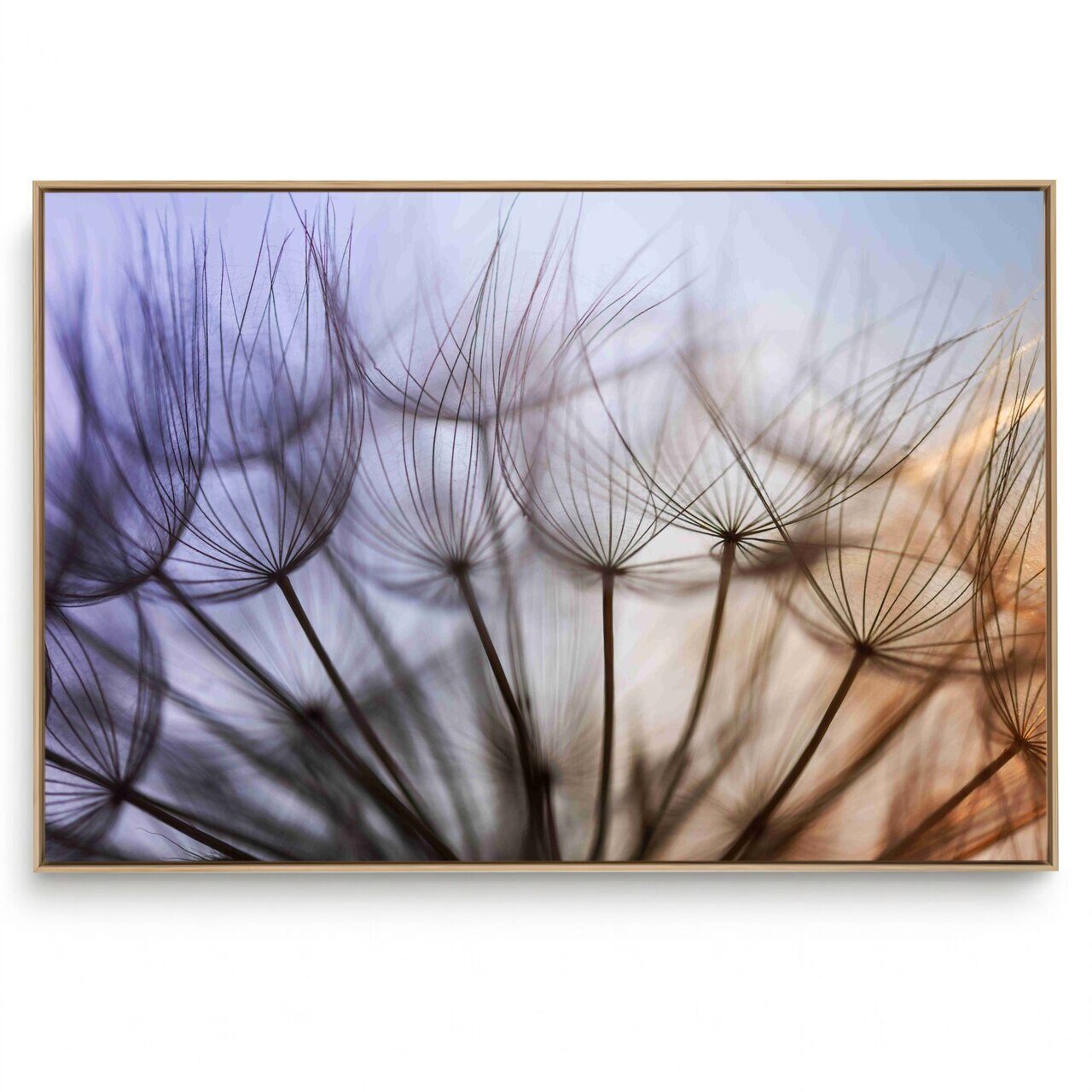 Quadro Decorativo Dente de Leão XV