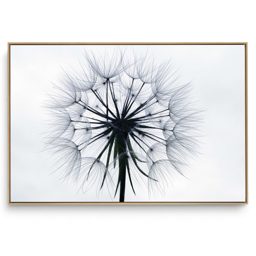Quadro Decorativo Dente de Leão XI