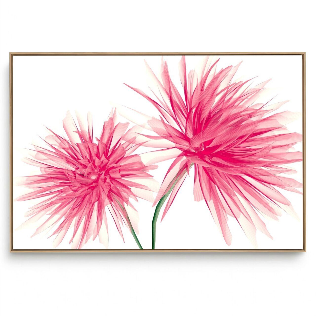 Quadro Decorativo Duas Flores 
