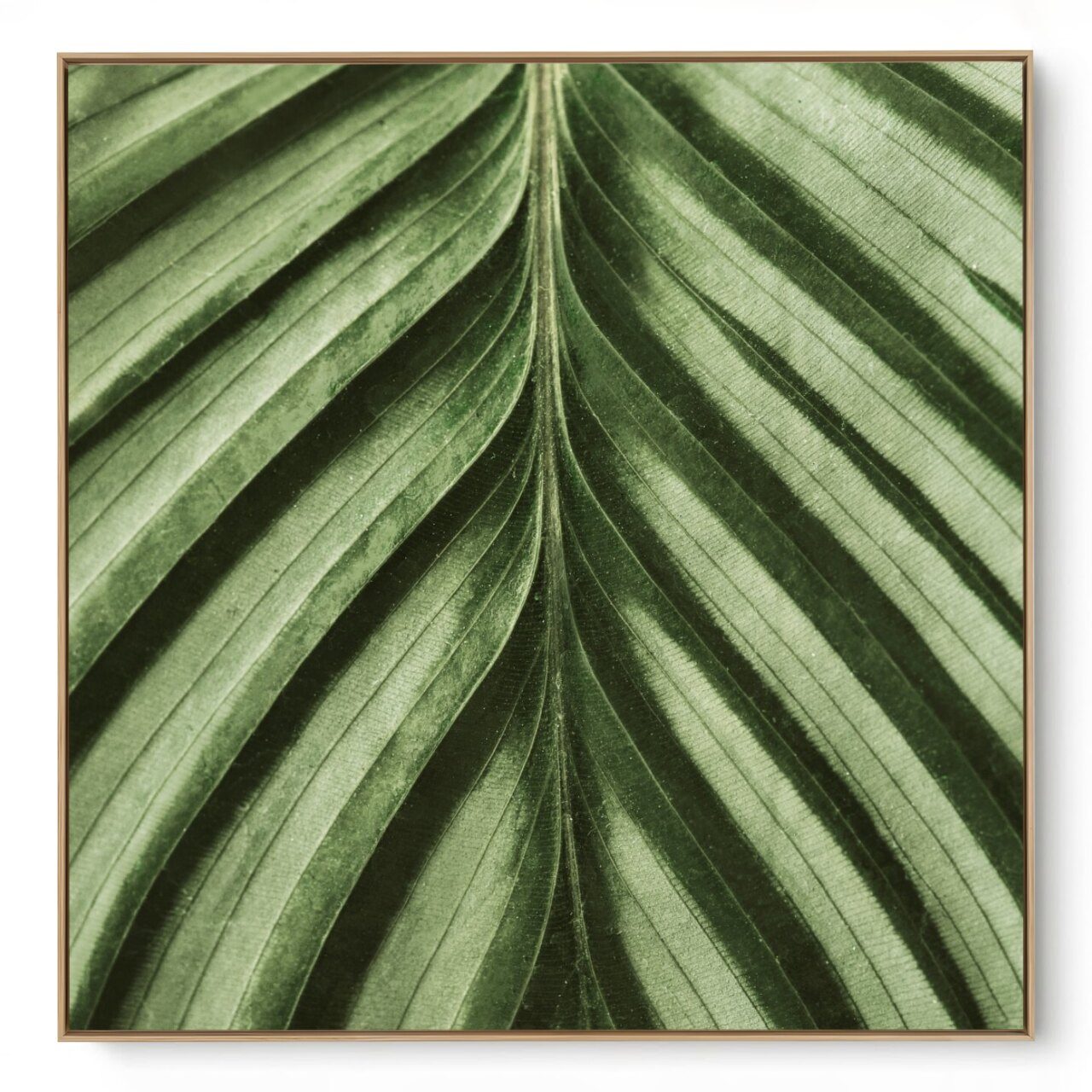 Quadro Decorativo Folha Close Q I