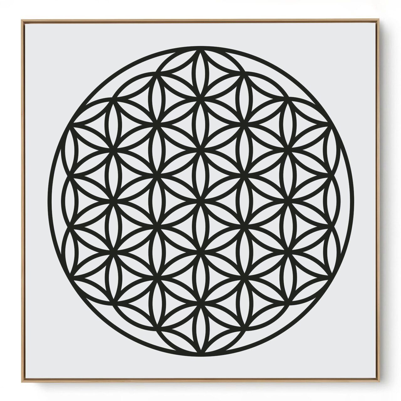 Quadro Decorativo Flor Da Vida II