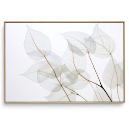 Quadro Decorativo Folhagem H IV