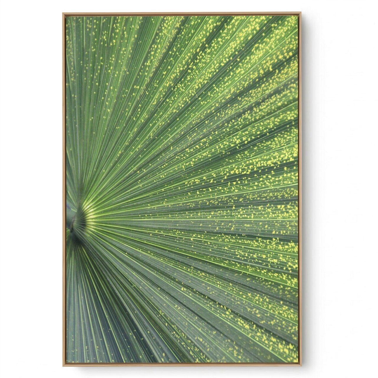 Quadro Decorativo Folhagem X