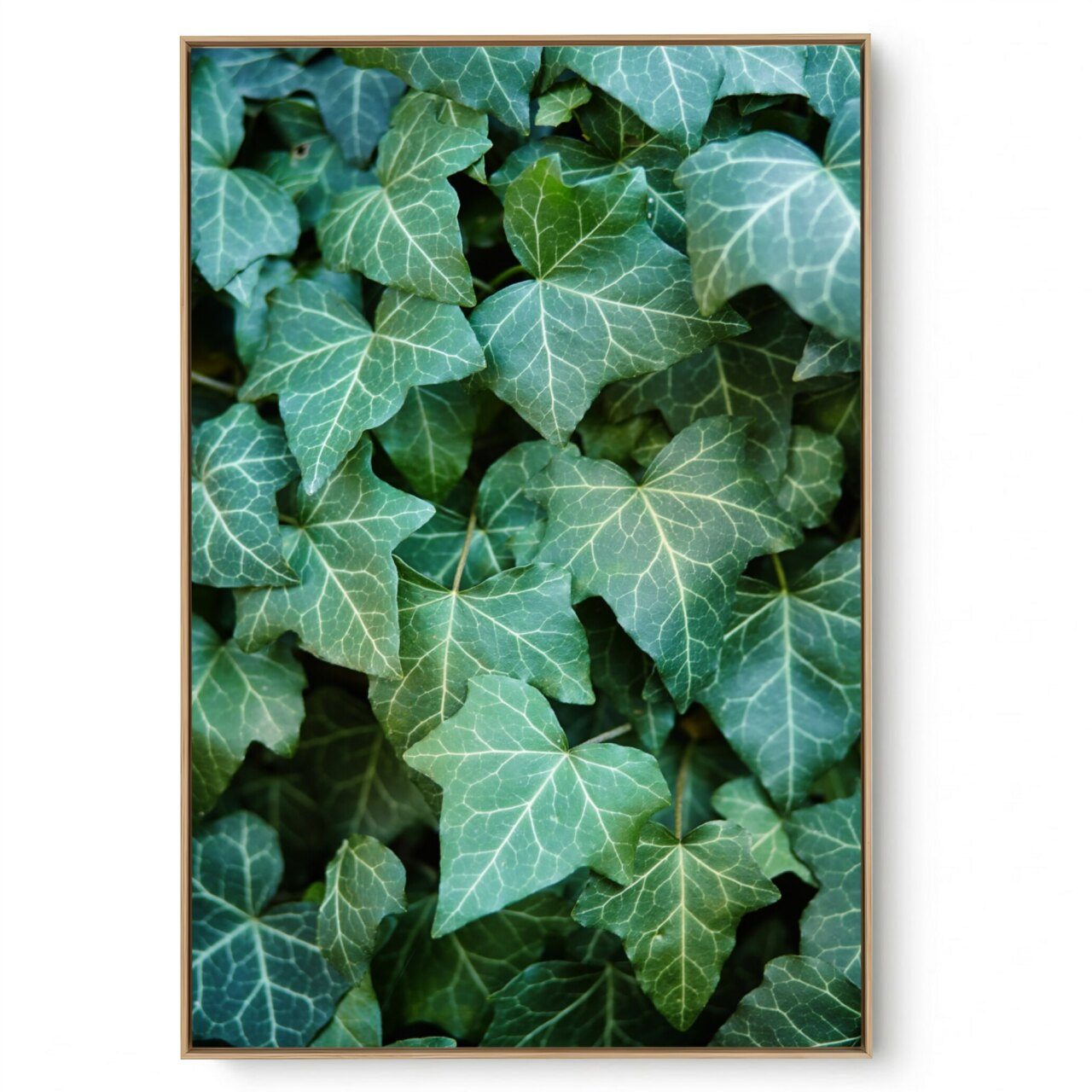 Quadro Decorativo Folhagem Natural Close II