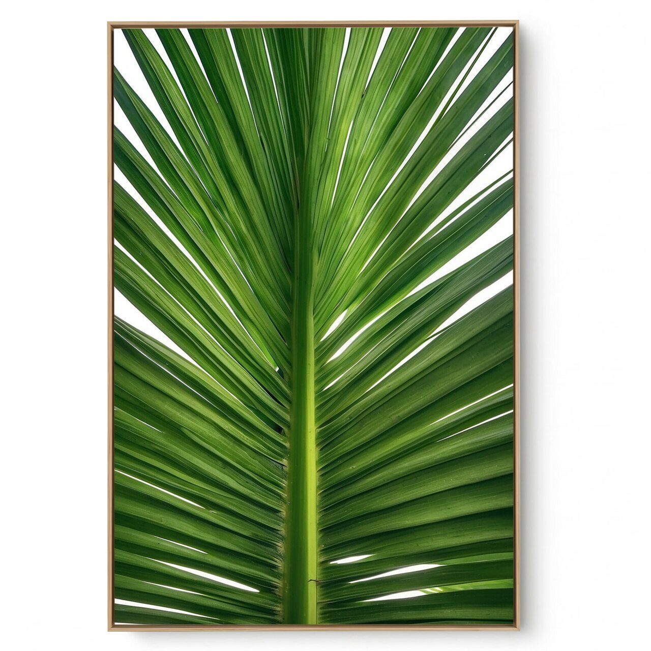 Quadro Decorativo Folhagem Natural Close III