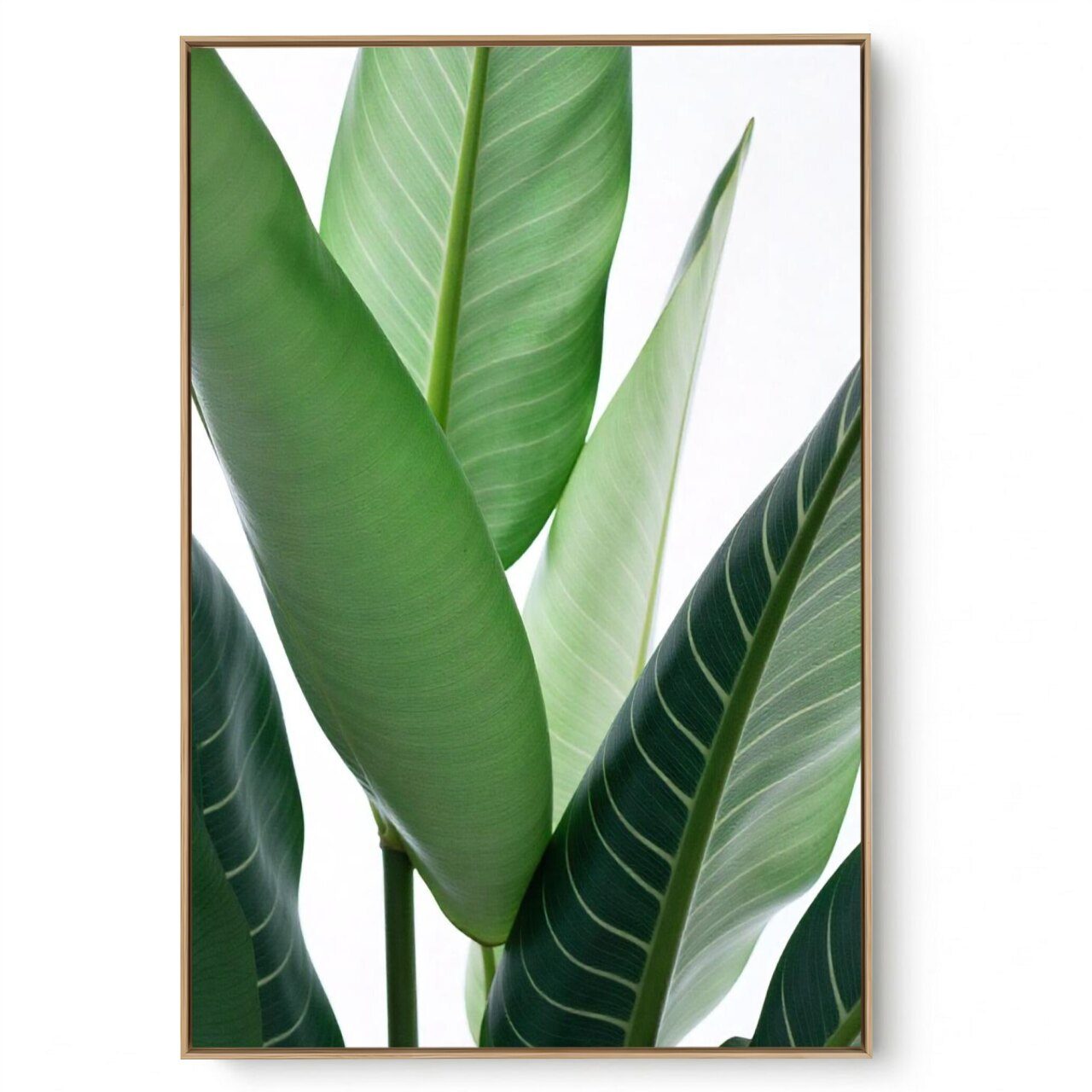 Quadro Decorativo Folhagem Natural Close IV
