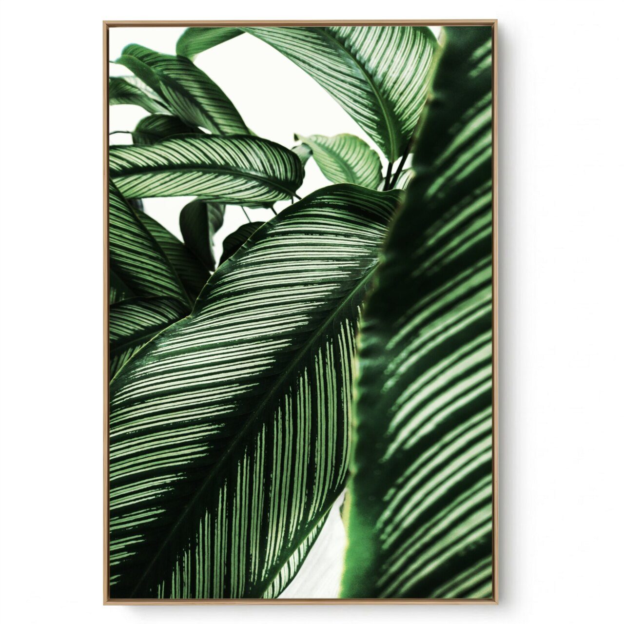 Quadro Decorativo Folhagem Natural Close V