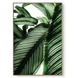 Quadro Decorativo Folhagem Natural Close V