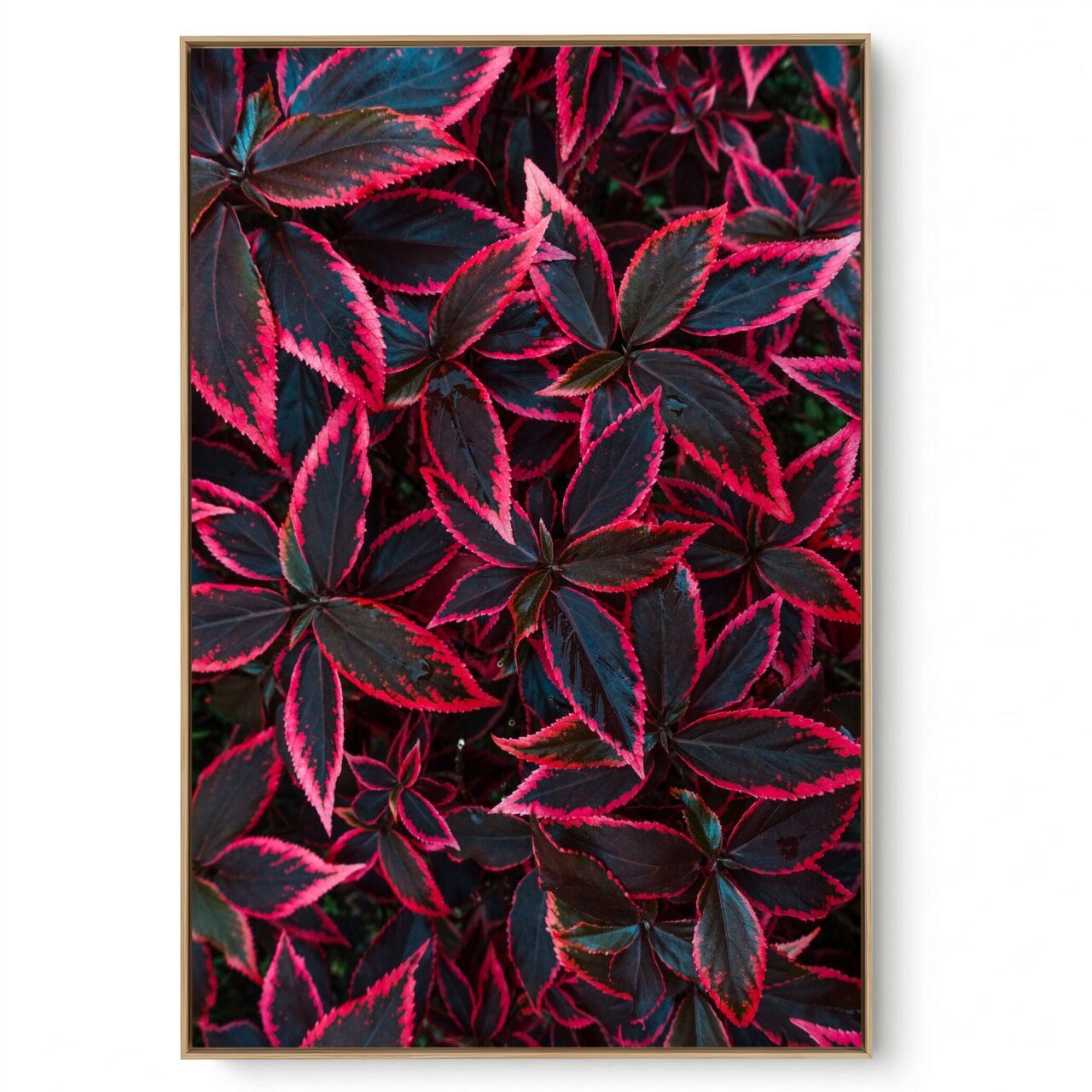 Quadro Decorativo Folhagem Natural Close VI
